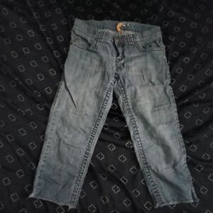 Roxy Distressed Gray Ankle Jeans